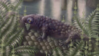Life reconstruction of Tyrannoroter heberti. Image credit: Hannah Fredd.