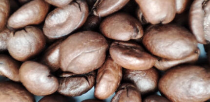 Zhang et al. determined that moderate caffeinated coffee and tea intake can lower dementia risk. Image credit: Sci.News.