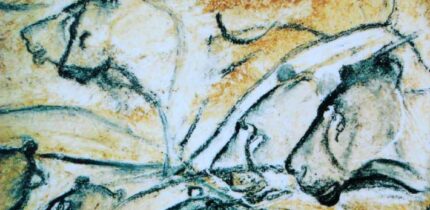 Cave lions painted in the Chauvet Cave, France.