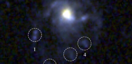 This Webb image shows the jellyfish galaxy COSMOS2020-635829; the dashed circles mark the four extraplanar sources that are identified in the tail of the galaxy. Image credit: Roberts et al., doi: 10.3847/1538-4357/ae3824.