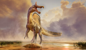 Spinosaurus mirabilis is one of the last-surviving spinosaurid species. Image credit: Dani Navarro.