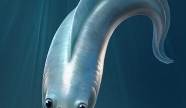 An artist’s reconstruction of a myllokunmingiid with four eyes that helped it see and navigate its ancient world. Image credit: Xiangtong Lei & Sihang Zhang.