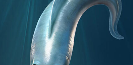 An artist’s reconstruction of a myllokunmingiid with four eyes that helped it see and navigate its ancient world. Image credit: Xiangtong Lei & Sihang Zhang.