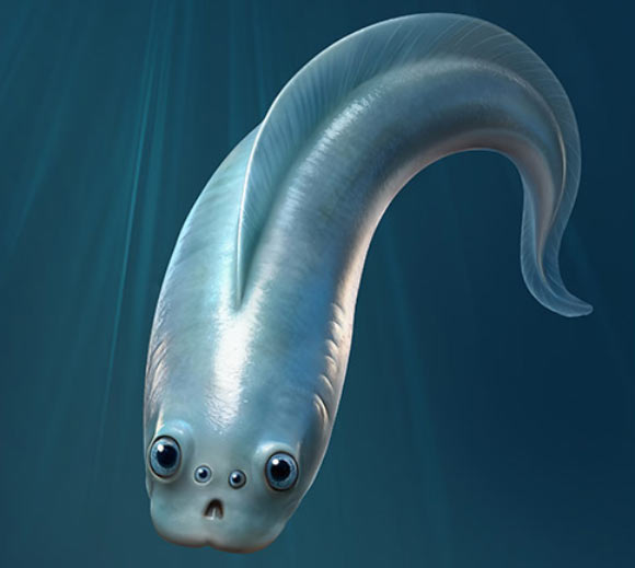 An artist’s reconstruction of a myllokunmingiid with four eyes that helped it see and navigate its ancient world. Image credit: Xiangtong Lei & Sihang Zhang.