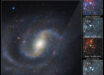 The main image at left shows a combined Webb and Hubble view of the spiral galaxy NGC 1637, with the region of interest in the top right; the remaining three panels show a detailed view of a red supergiant star before and after it exploded; the star is not visible in the Hubble image before the SN 2025pht explosion, but appears in the Webb image; the July 2025 view from Hubble shows the glowing aftermath of the explosion. Image credit: NASA / ESA / CSA / STScI / C. Kilpatrick, Northwestern / A. Suresh, Northwestern / J. DePasquale, STScI.