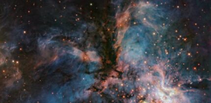 This VLT/HAWK-I image shows the emission nebula RCW 36; while the dark clouds in the middle of the image make up the head and body of the bird of prey, the filaments extending away from the body to the left and right compose its wings; below it, is a mesmerising blue nebula with massive newly born stars, whose intense radiation make the gas around them glow brightly. Image credit: ESO / do Brito do Vale et al.