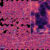 Section of the Line Intensity Map created by charting the distribution and concentration of excited hydrogen (via the Lyman alpha wavelength) in the Universe around 10 billion years ago. The stars mark where HETDEX has found galaxies. The inset simulates the structure present in this map once it is zoomed in on and background noise is removed from the data. Image credit: Maja Lujan Niemeyer / Max Planck Institute for Astrophysics / HETDEX / Chris Byrohl / Stanford University.