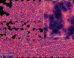 Section of the Line Intensity Map created by charting the distribution and concentration of excited hydrogen (via the Lyman alpha wavelength) in the Universe around 10 billion years ago. The stars mark where HETDEX has found galaxies. The inset simulates the structure present in this map once it is zoomed in on and background noise is removed from the data. Image credit: Maja Lujan Niemeyer / Max Planck Institute for Astrophysics / HETDEX / Chris Byrohl / Stanford University.