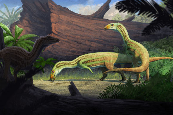 An artist’s reconstruction of Sonselasuchus cedrus in its environment in what is now Petrified Forest National Park, 215 million years ago. Image credit: Gabriel Ugueto.