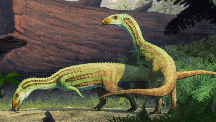 An artist’s reconstruction of Sonselasuchus cedrus in its environment in what is now Petrified Forest National Park, 215 million years ago. Image credit: Gabriel Ugueto.