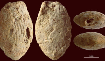 A butterfly clay bead from the Final Natufian period in Eynan-Mallaha, the Upper Jordan Valley, colored red with ochre and marked with the fingerprints of the child (around 10 years old) who modeled it 12,000 years ago. Image credit: Laurent Davin.