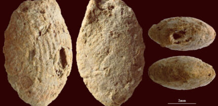 A butterfly clay bead from the Final Natufian period in Eynan-Mallaha, the Upper Jordan Valley, colored red with ochre and marked with the fingerprints of the child (around 10 years old) who modeled it 12,000 years ago. Image credit: Laurent Davin.