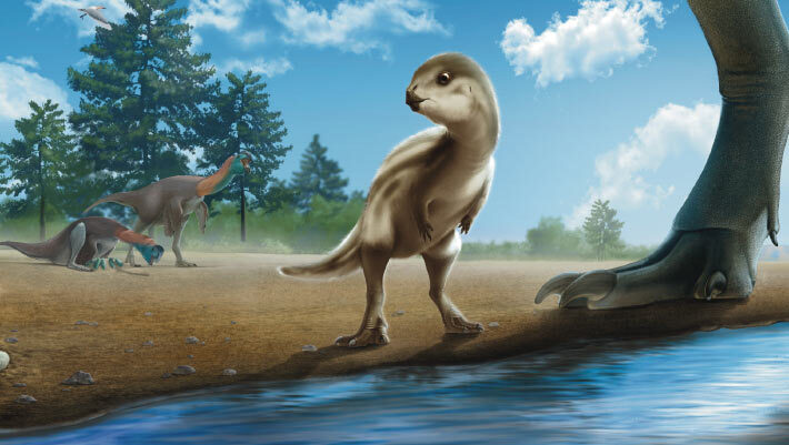 An artist’s interpretation of a juvenile Doolysaurus huhmini. Image credit: Jun Seong Yi.