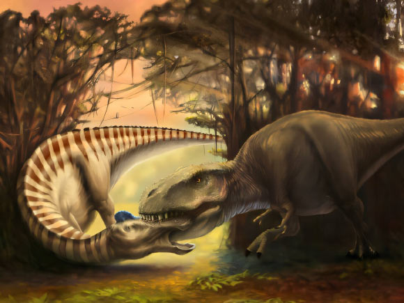 A Tyrannosaurus attacking an adult Edmontosaurus. Image credit: Jenn Hall.