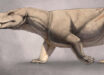 Life reconstruction of Cistecynodon parvus. Image credit: Morgan Hopf.