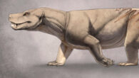 Life reconstruction of Cistecynodon parvus. Image credit: Morgan Hopf.