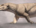 Life reconstruction of Cistecynodon parvus. Image credit: Morgan Hopf.