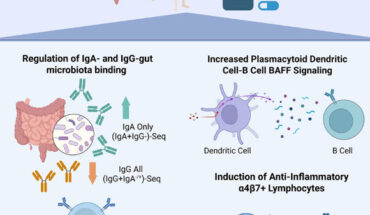 Gubatan et al. demonstrate that vitamin D promotes immune tolerance to gut microbiota in patients with inflammatory bowel disease. Image credit: Gubatan et al., doi: 10.1016/j.xcrm.2026.102703.