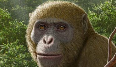 Life reconstruction of Masripithecus moghraensis. Image credit: Mauricio Antón.