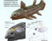 Reconstruction of a Triassic coelacanth schematically showing the otophysic connection linking the ossified lung to the inner ear and enabling underwater hearing. Image credit: A. Beneteau & L. Cavin, MHNG.