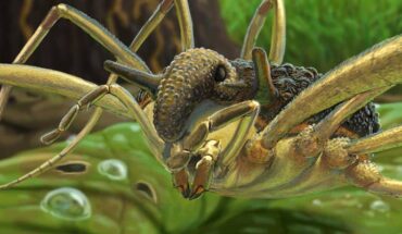 An artist’s reconstruction of Balticolasma wunderlichi male. Image credit: Joshua Knüppe.
