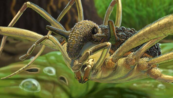 An artist’s reconstruction of Balticolasma wunderlichi male. Image credit: Joshua Knüppe.