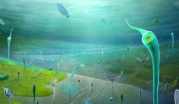 Reconstruction of the Jiangchuan Biota. Image credit: Xiaodong Wang.