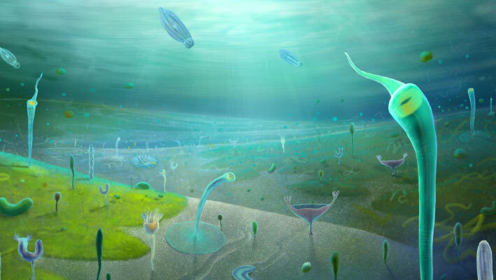 Reconstruction of the Jiangchuan Biota. Image credit: Xiaodong Wang.