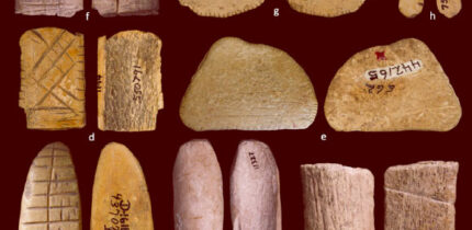 Diagnostic and probable prehistoric Native American dice: (a, d) Signal Butte, Nebraska (Middle Holocene); (b) Agate Basin, Wyoming (Early Holocene); (c, f) Agate Basin, Wyoming (Late Pleistocene); (e, g) Lindenmeier, Colorado (Late Pleistocene); (h) Irvine, Wyoming (Late Holocene). Image credit: Division of Anthropology, Smithsonian Institution, American Museum of Natural History / Department of Anthropology, University of Wyoming.