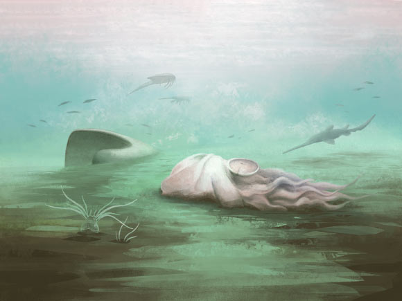Reconstruction of a Paleocadmus decaying in the Mazon Creek marine basin; the separated shell is visible in the background; other Mazon Creek fauna are visible, such as the polychaete Esconites zelus (foreground) and Bandringa rayi, an elasmobranch shark (back left). Image credit: Franz Anthony.