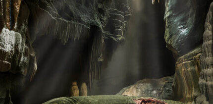 Captorhinus aguti. Image credit: Michael DeBraga.