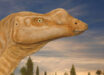 Muttaburrasaurus langdoni. Image credit: Matt Herne.
