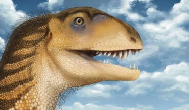 An artistic rendition of Ptychotherates bucculentus. Image credit: Megan Sodano / Virginia Tech.