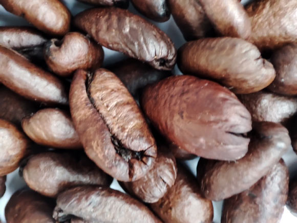 Boscaini et al. reveal previously unrecognized effects of coffee on the microbiota-gut-brain axis, suggesting that microbiome profiles could potentially predict coffee consumption patterns and highlighting a close association between coffee intake and gut microbial composition. Image credit: Sci.News.