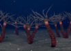 Depiction of Paleocanna tentaculum individuals living in single tubes, as well as clusters of two or three tubes attached together. Image credit: Ramirez-Guerrero et al., doi: 10.1017/jpa.2025.10211.