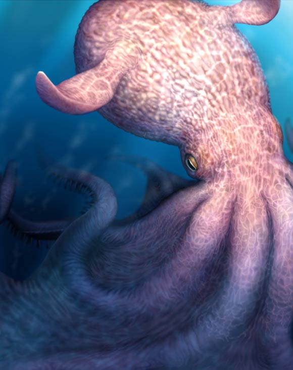 An artist’s impression of an ancient giant octopus. Image credit: Yohei Utsuki, Hokkaido University.
