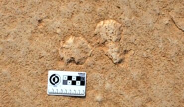 Microbial mat chips scattered on a Cambrian tidal flat surface. Image credit: Nora Noffke.
