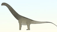 An artist’s reconstruction of Phosphatotitan khouribgaensis. Image credit: Connor Ashbridge.