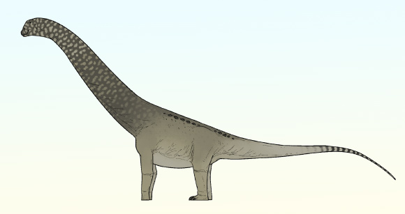 An artist’s reconstruction of Phosphatotitan khouribgaensis. Image credit: Connor Ashbridge.