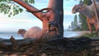 An illustration of Cimolodon desosai on the tree with a fruit in its mouth. Image credit: Andrey Atuchin.