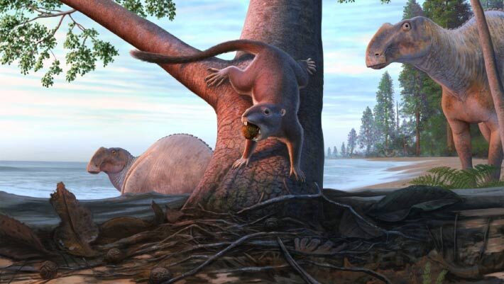An illustration of Cimolodon desosai on the tree with a fruit in its mouth. Image credit: Andrey Atuchin.