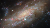 This Hubble image shows NGC 3137, a spiral galaxy some 53 million light-years away in the constellation of Antlia. Image credit: NASA / ESA / Hubble / D. Thilker / PHANGS-HST Team.
