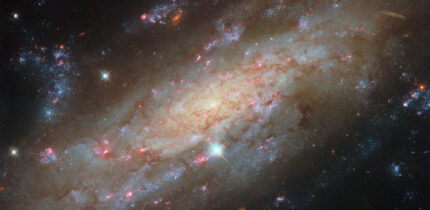 This Hubble image shows NGC 3137, a spiral galaxy some 53 million light-years away in the constellation of Antlia. Image credit: NASA / ESA / Hubble / D. Thilker / PHANGS-HST Team.