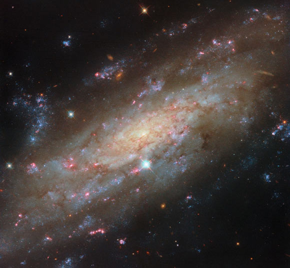 Hubble Captures Spiral Galaxy Packed with Brilliant Star Clusters: NGC 3137