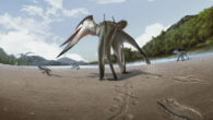 Life reconstruction drawing of Jinjuichnus procerus and tetrapod trackmakers. The neoazhdarchian trackmaker is following the small vertebrate. Image credit: Jun Seung Yi.