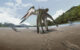Life reconstruction drawing of Jinjuichnus procerus and tetrapod trackmakers. The neoazhdarchian trackmaker is following the small vertebrate. Image credit: Jun Seung Yi.