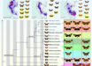 Ben Chehida et al. studied convergent evolution in multiple mimetic Neotropical lepidopteran lineages that diverged between 1 and 120 million years ago, including seven species of Ithomiini and Heliconius butterflies and a day-flying Chetone moth. Image credit: Ben Chehida et al., doi: 10.1371/journal.pbio.3003742.