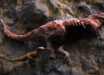 Visualization of a small tyrannosaur feeding on a carcass of a larger tyrannosaur. Image credit: Yu Xin, Shen Li & Liang Junwei, Aarhus Universitet.