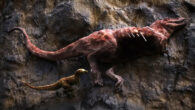 Visualization of a small tyrannosaur feeding on a carcass of a larger tyrannosaur. Image credit: Yu Xin, Shen Li & Liang Junwei, Aarhus Universitet.
