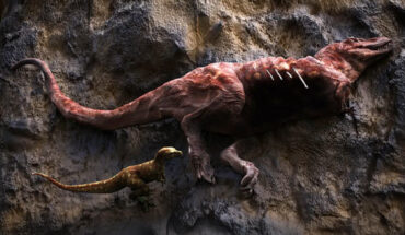 Visualization of a small tyrannosaur feeding on a carcass of a larger tyrannosaur. Image credit: Yu Xin, Shen Li & Liang Junwei, Aarhus Universitet.